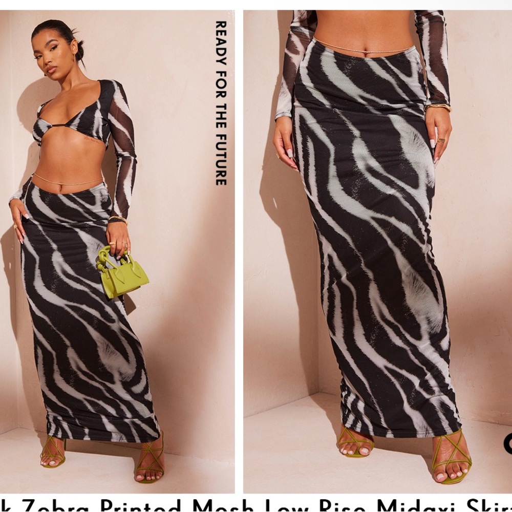 Two Piece Zebra Print (Maxi Skirt & Long Sleeve Bralette)